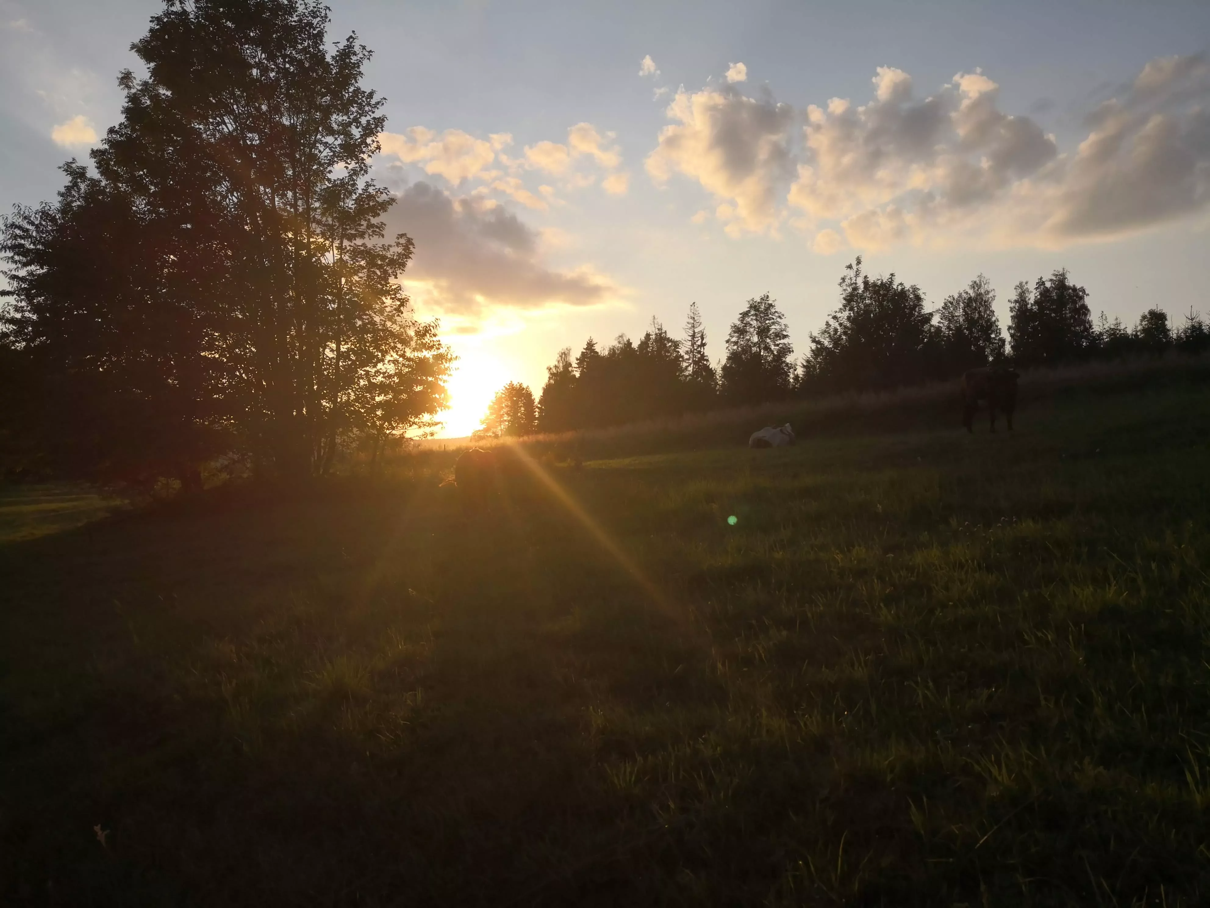 Działka inna Lubiatowo 175m2