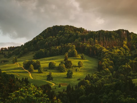 Dodaj swoją ofertę