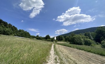 Działka, Kasina Wielka 6750 m2 - Rolna Siedliskowa